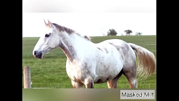 HD Horny Milf takes giant horse cock dildo compilation | Masked Milf mega Tube
