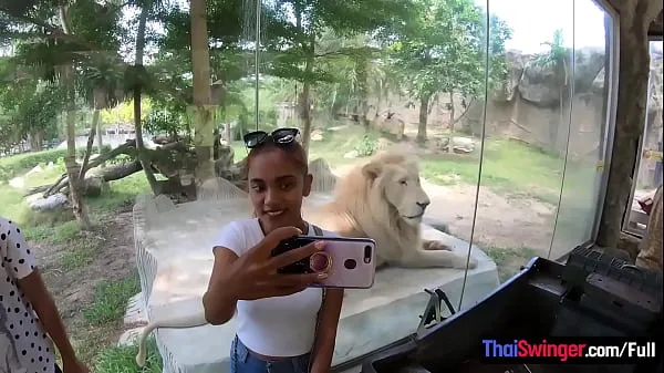 HD Amateur Thai girlfriend went to see animals and has sex afterwards with BF ميجا تيوب